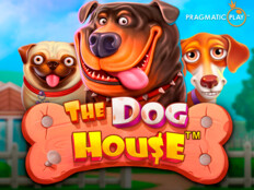 Casino slot oyunları oyna. En pahalı köpek.36